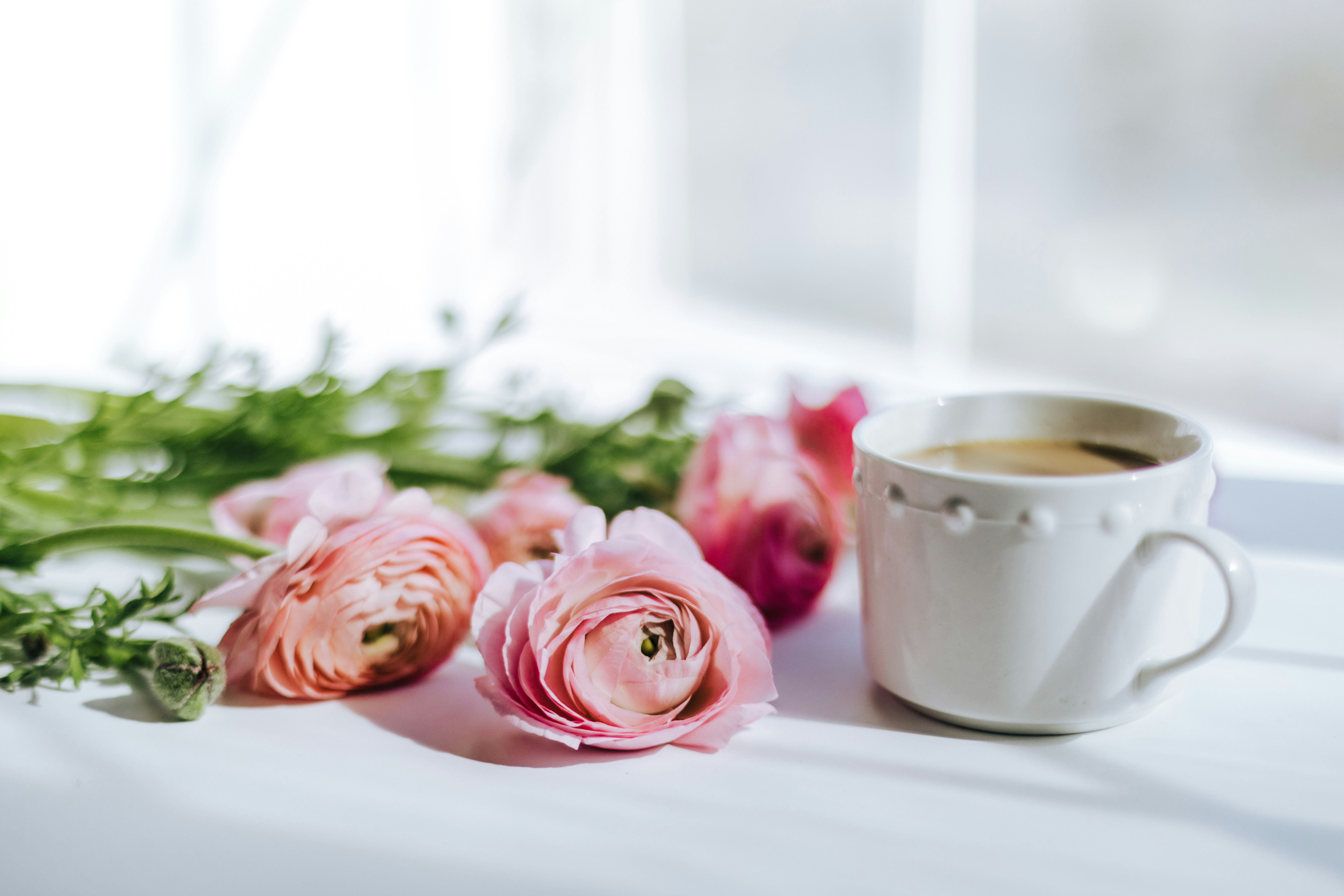 pink roses beside white ceramic mug